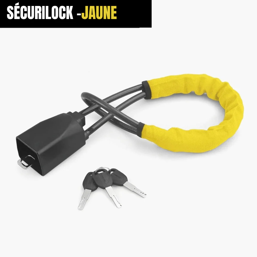 Antivol de sécurité pour voiture - Image 7