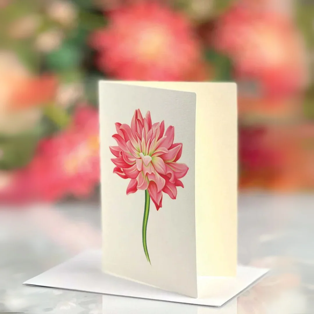 Bouquet Dear Dahlia Grande – Format Vitrine - Image 3