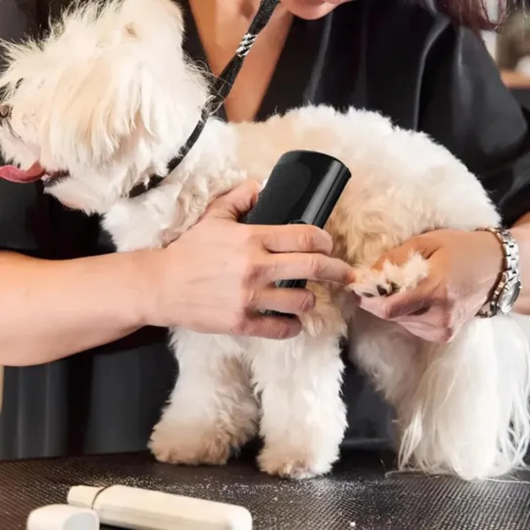 Brosse auto-nettoyante pour animaux - Image 3