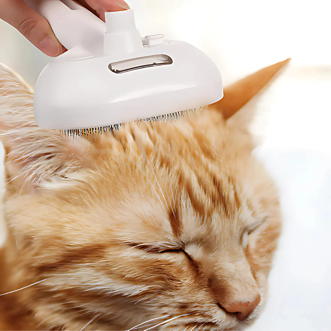 Brosse de soin pour chiens & chats - Image 2