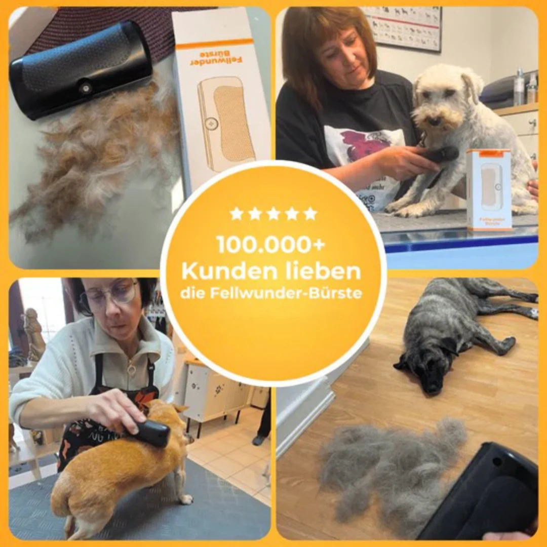 Brosse de toilettage pour chien - Image 3
