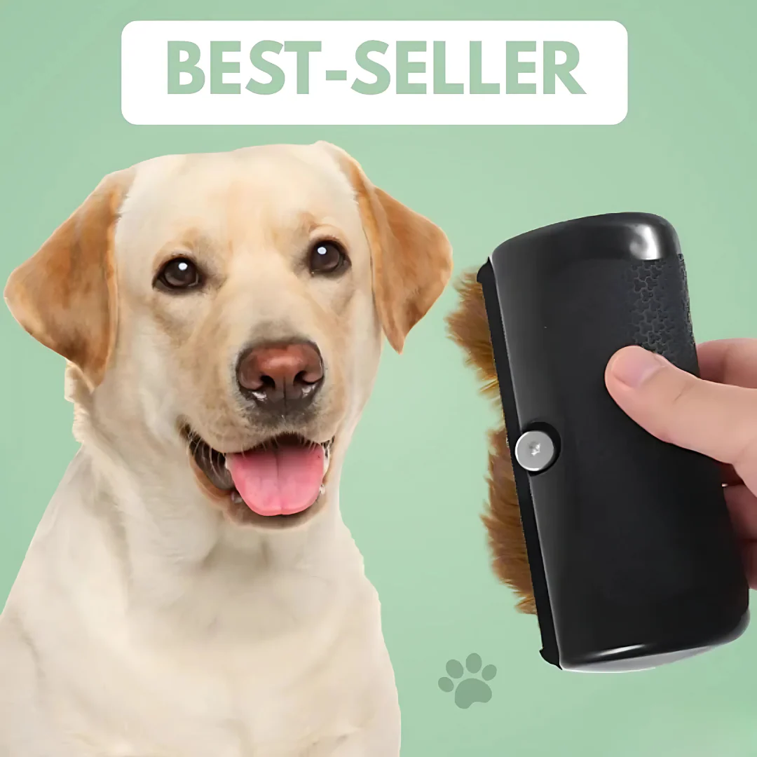 Brosse de toilettage pour chien