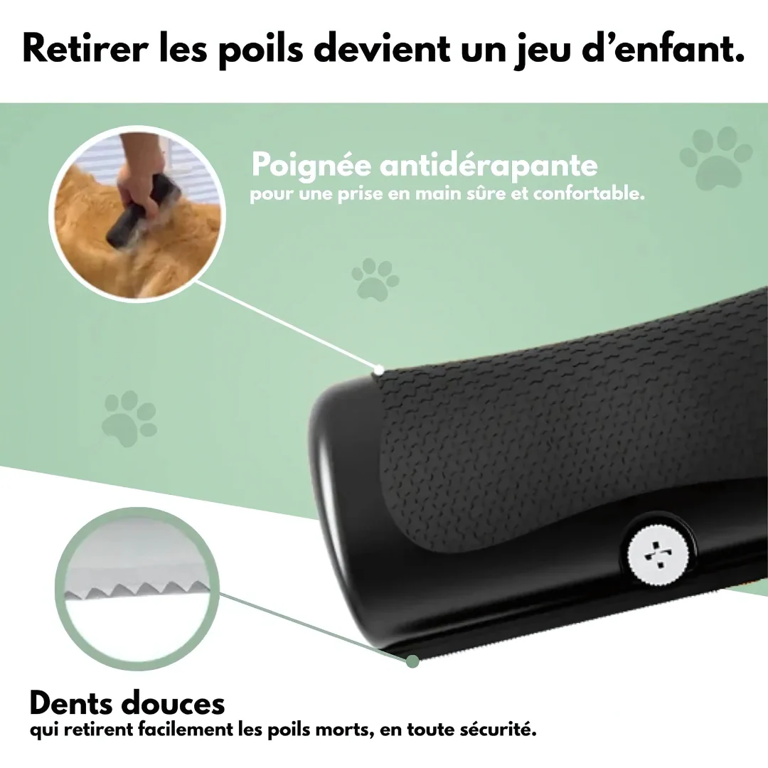 Brosse de toilettage pour chien - Image 2