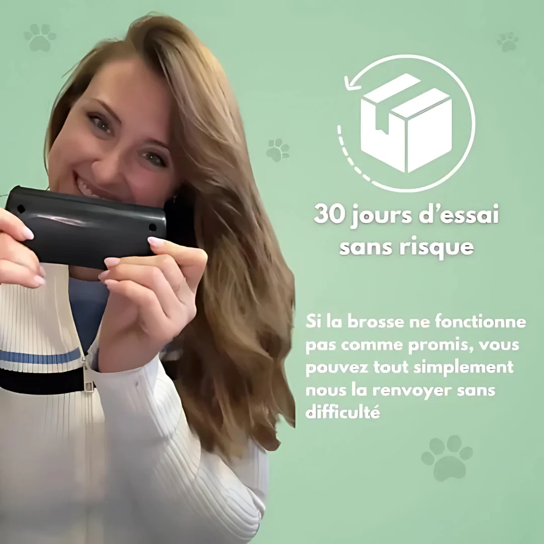 Brosse de toilettage pour chien - Image 3