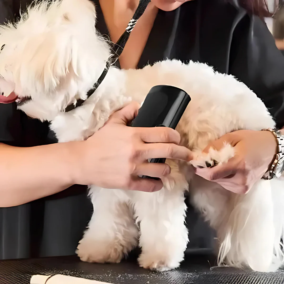 Brosse de toilettage pour chien - Image 4