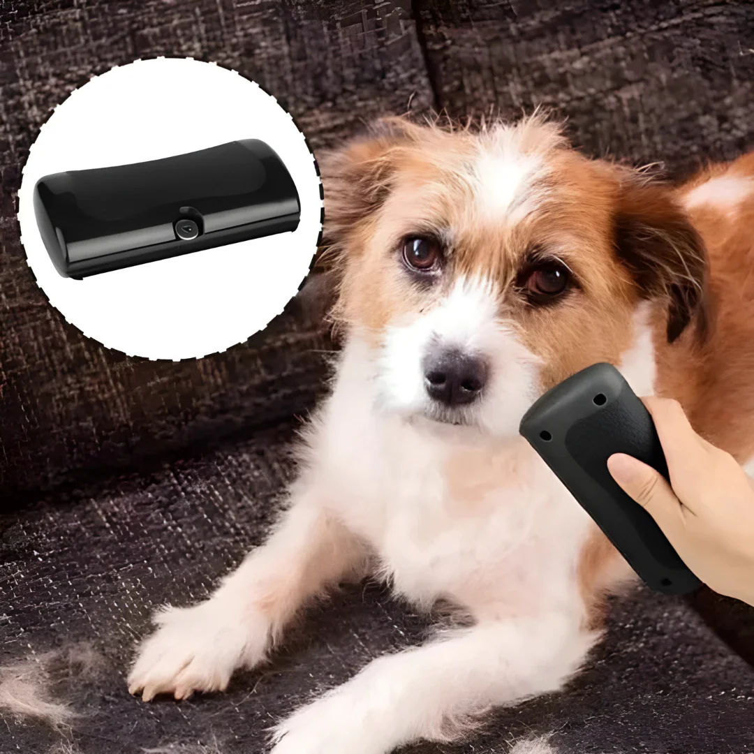 Brosse de toilettage pour chien - Image 6