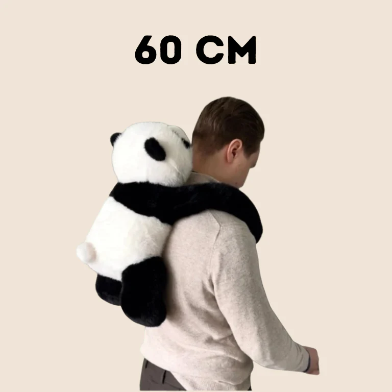 Câlin Lesté - Image 10