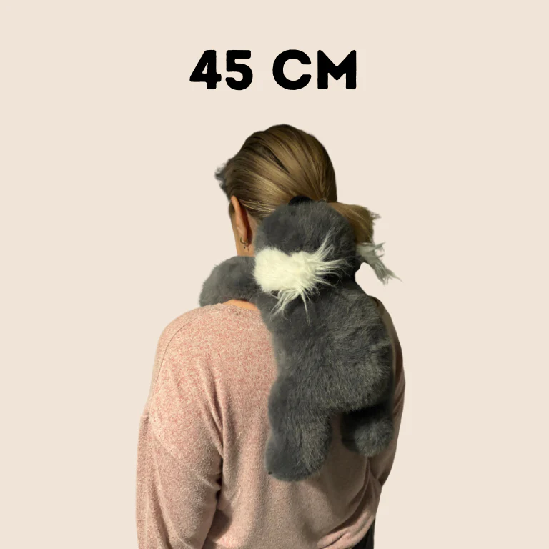 Câlin Lesté - Image 9