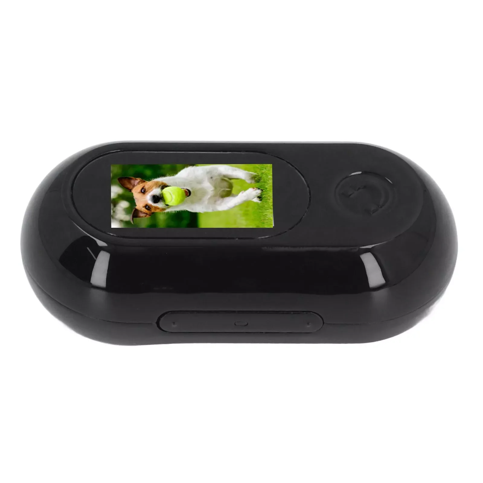 CamĂ©ra miniature pour collier de chat â Vue immersive Ă 360° - Image 4