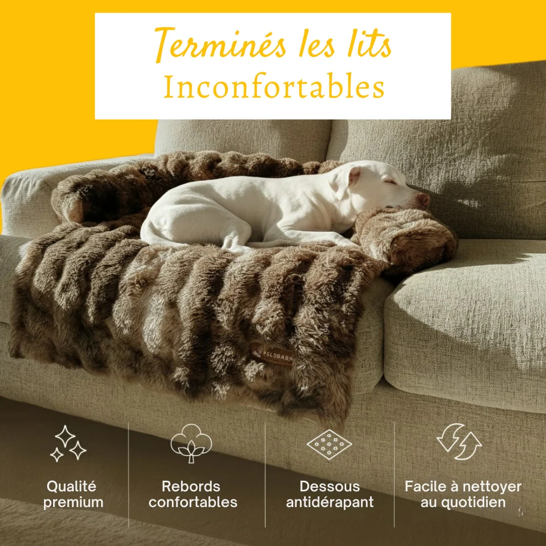 Canapé-lit doux et confortable pour chien - Image 4