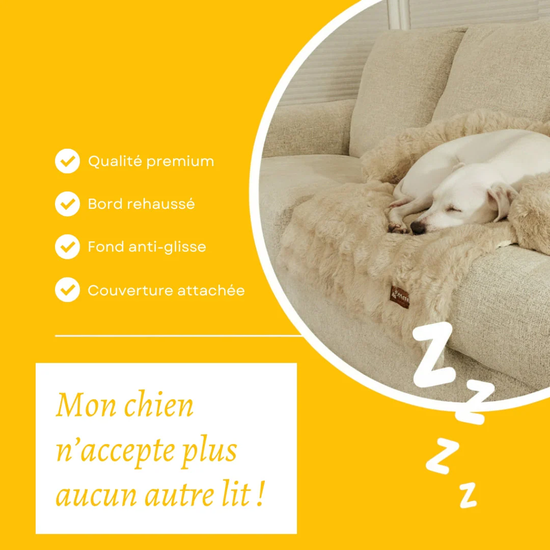 Canapé-lit doux et confortable pour chien - Image 5