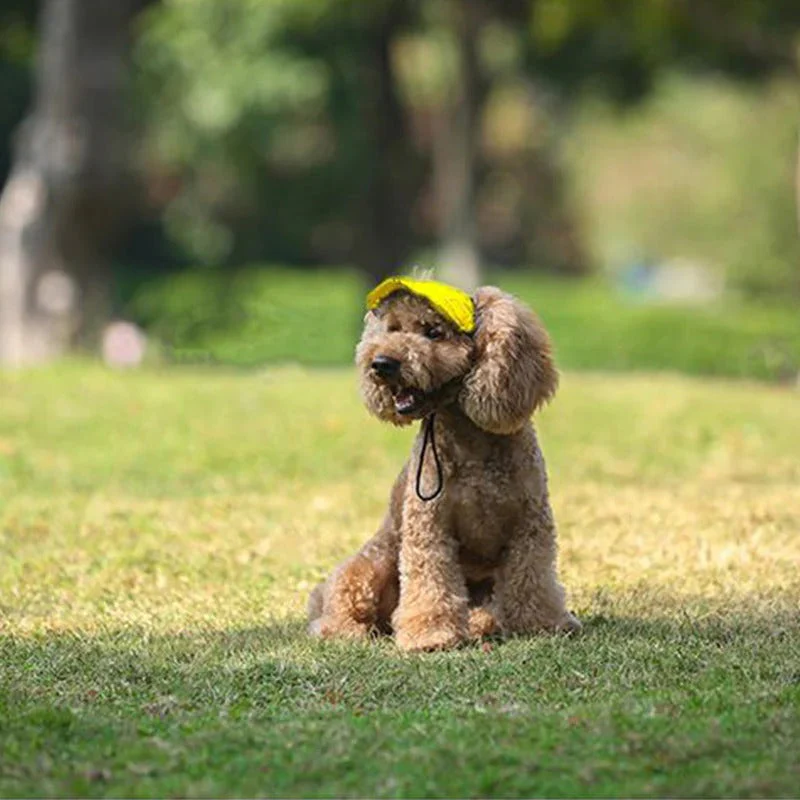 Casquette pour chien - Image 2