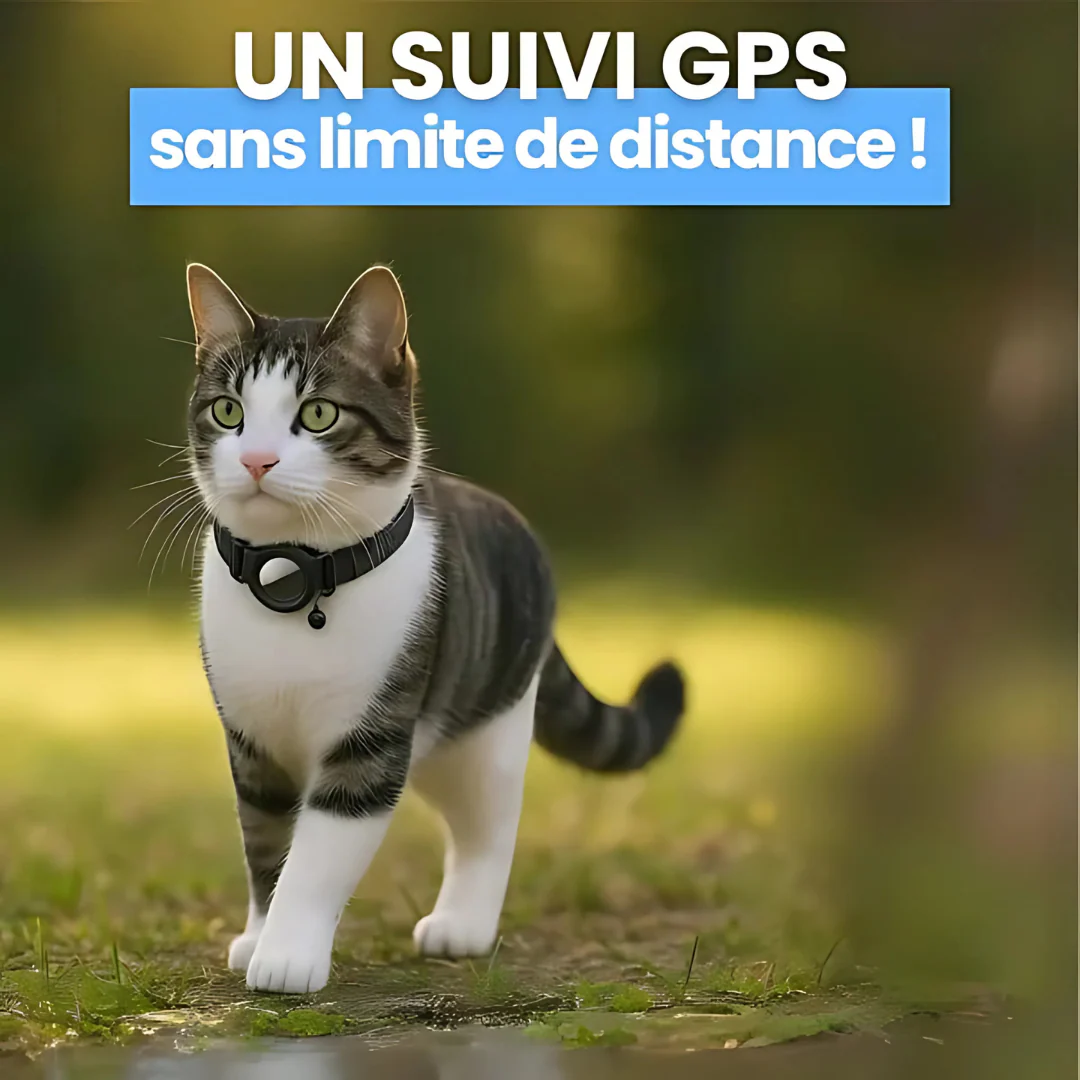 Collier GPS pour Chat - Image 5