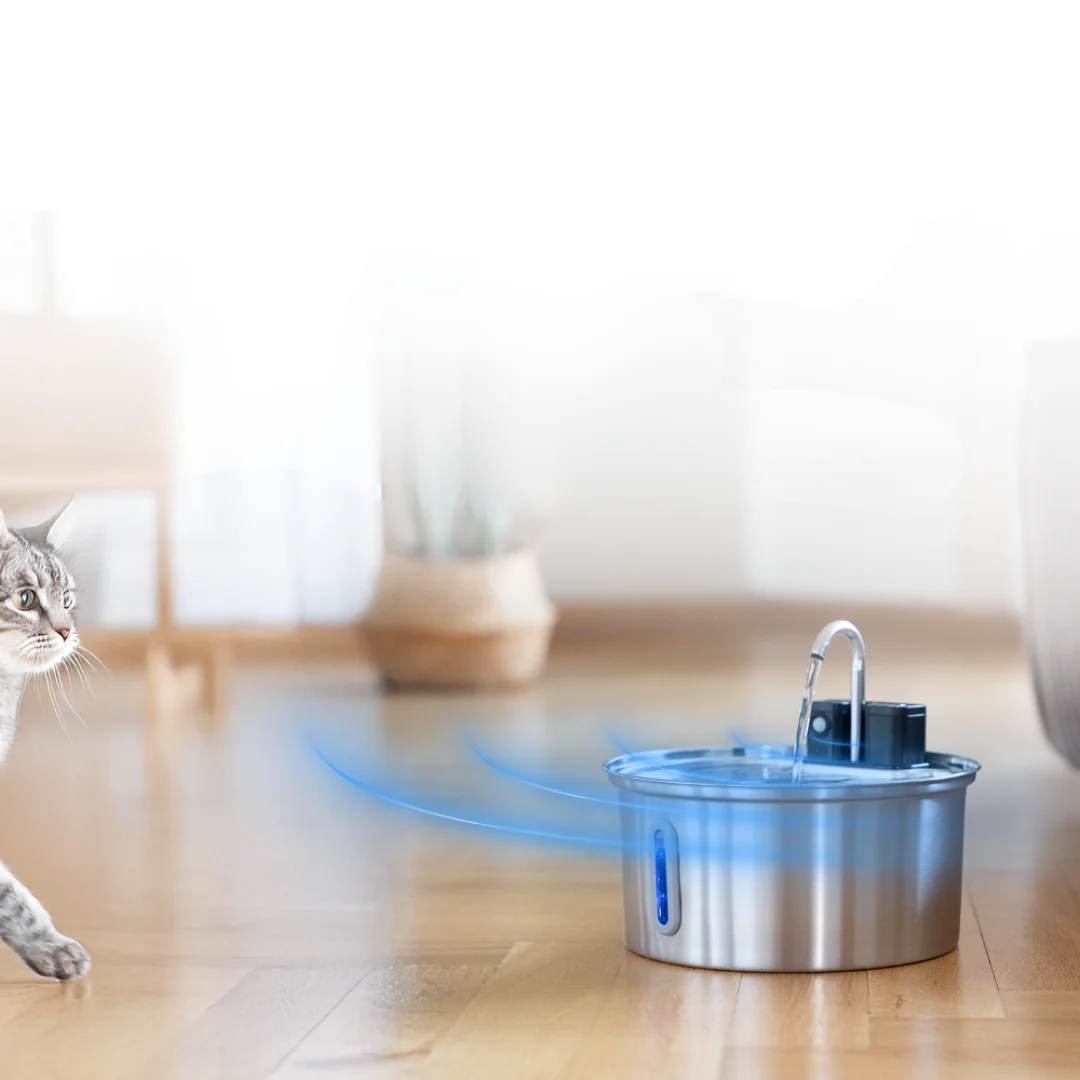 Fontaine Premium Sans Fil pour Chats - Image 3