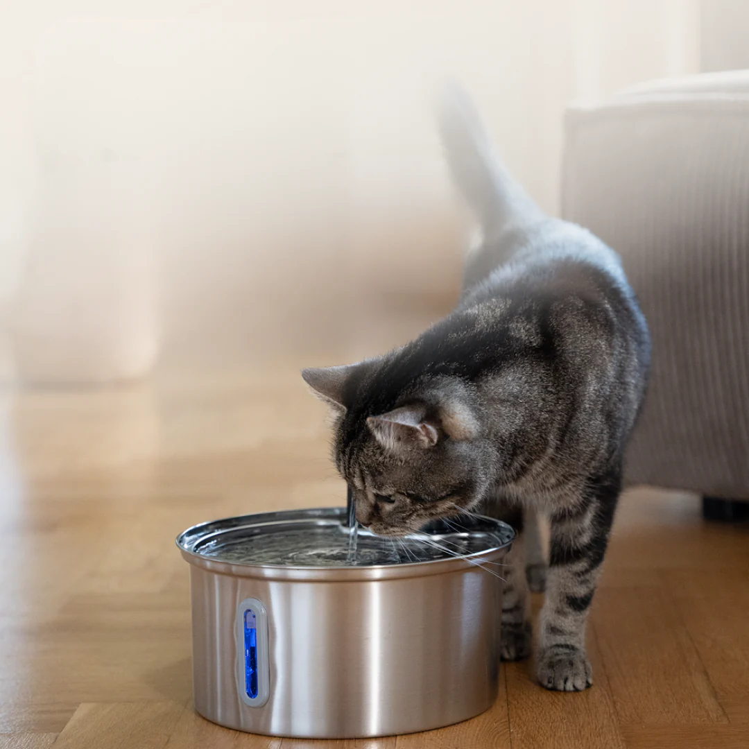 Fontaine Premium Sans Fil pour Chats - Image 7