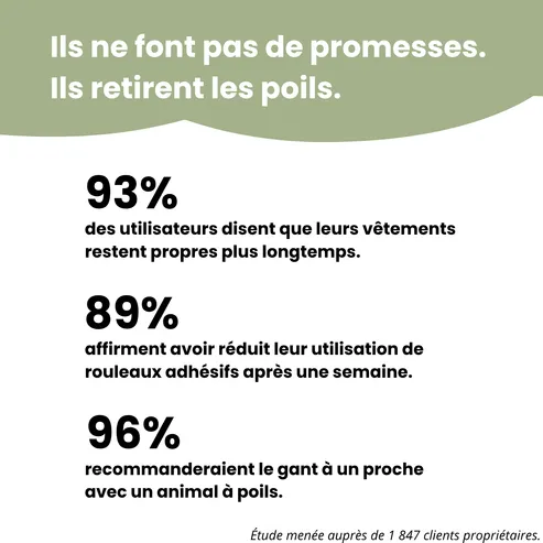 Gant anti-poils réutilisable - Image 6