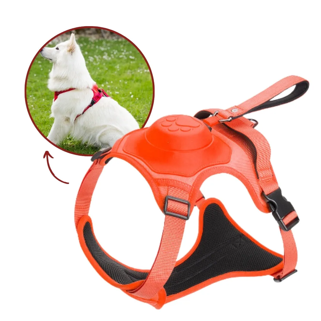Harnais 2-en-1 pour chien - Image 5