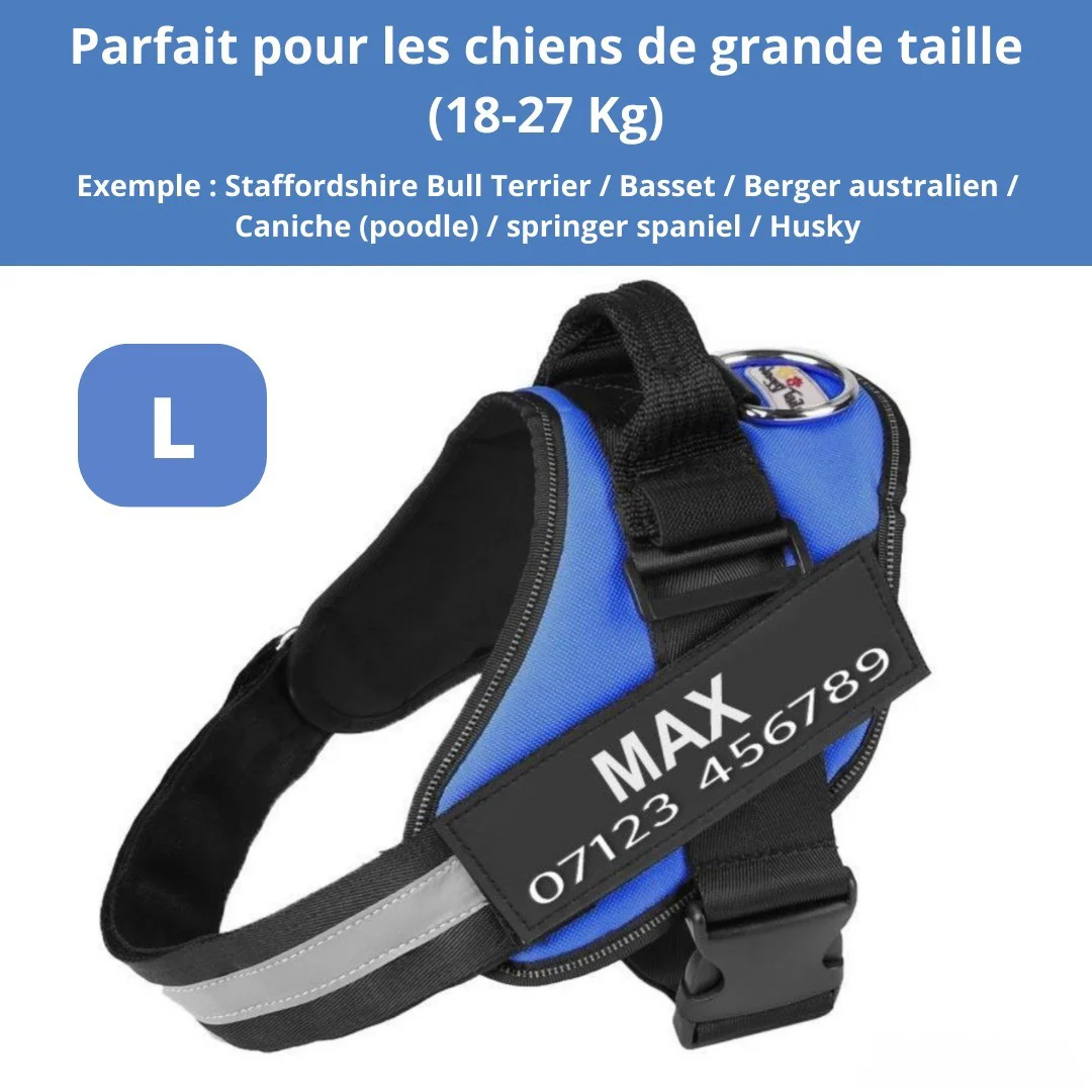 Harnais personnalisable anti-traction pour petit chien - Image 20