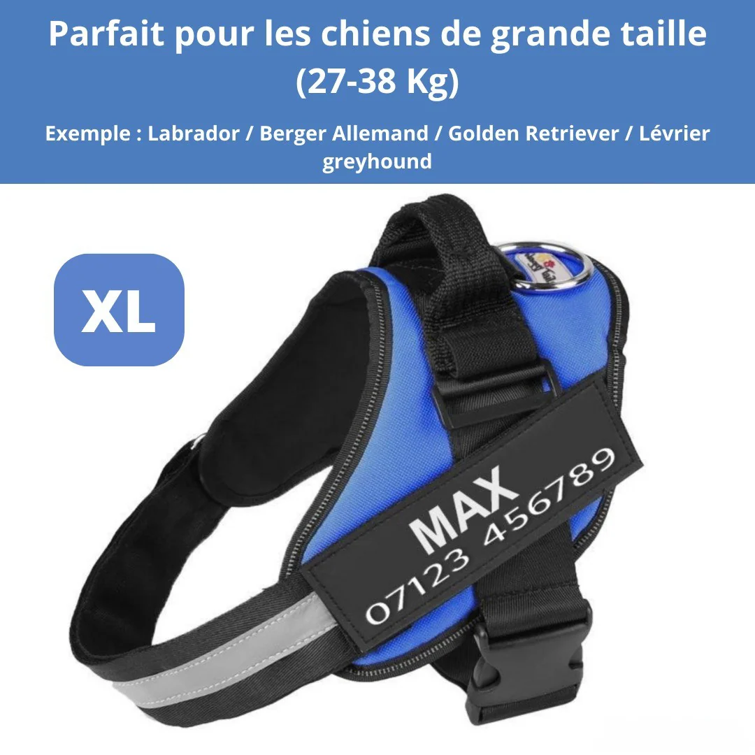 Harnais personnalisable anti-traction pour petit chien - Image 21