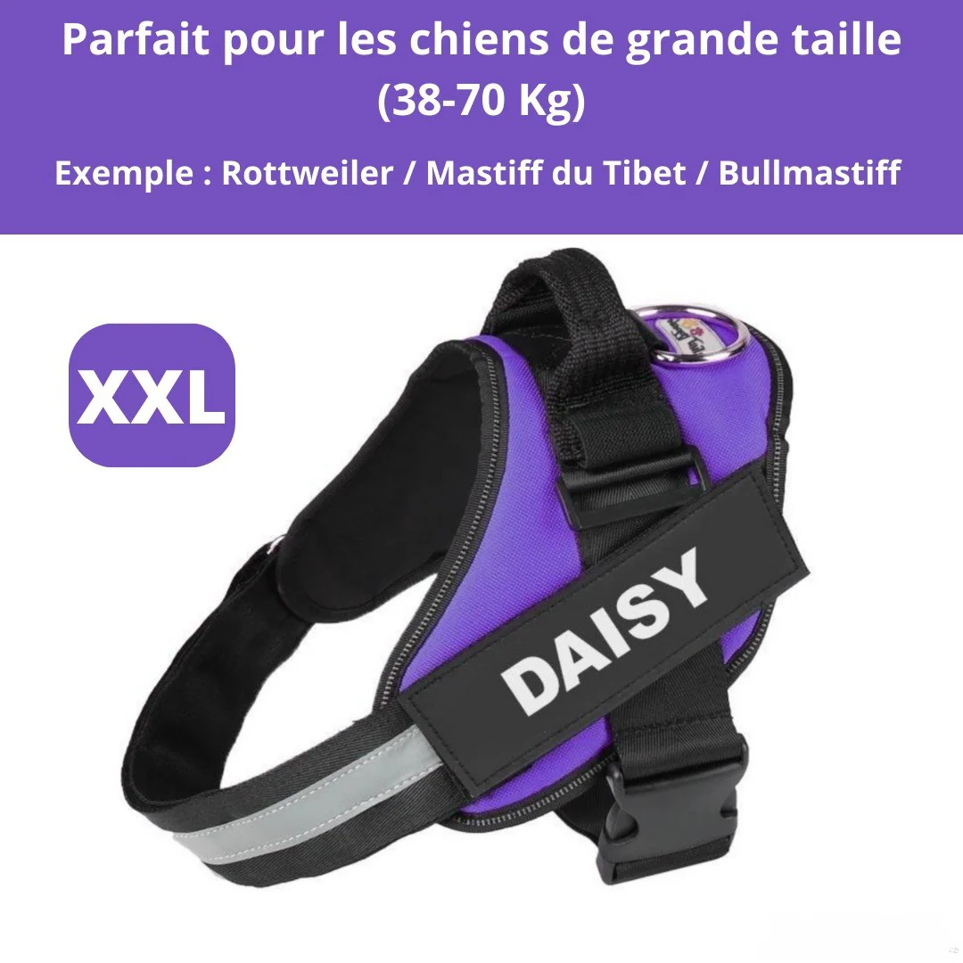 Harnais personnalisable anti-traction pour petit chien - Image 9