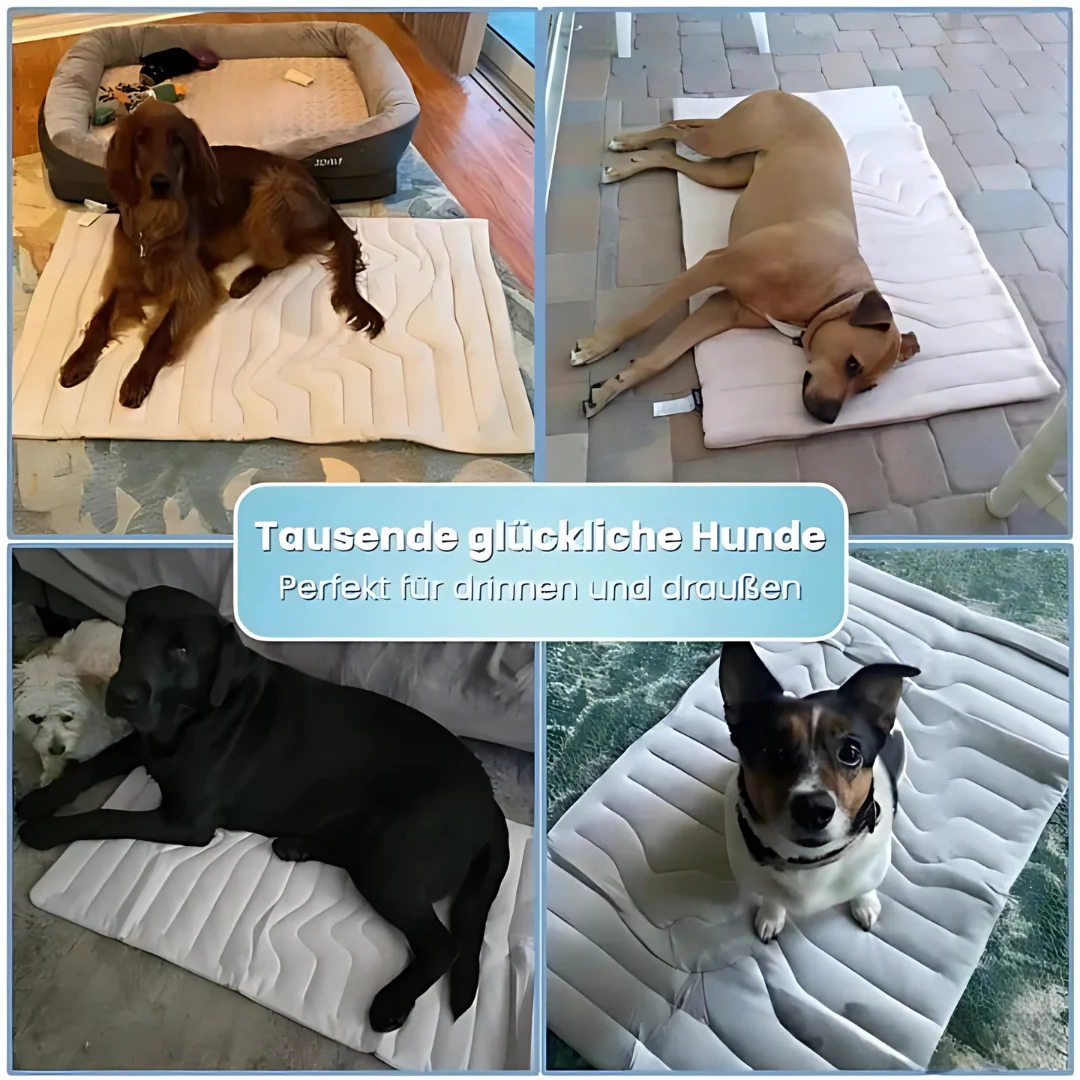 Tapis rafraîchissant automatique pour chien - Image 5
