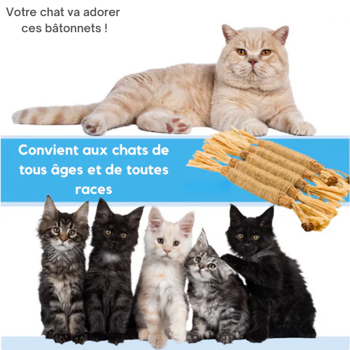 Jouet à mâcher pour chats en bâton de matatabi naturel - Image 8