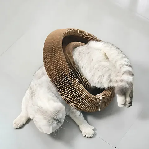 Jouet à griffer interactif pour chats - Image 2