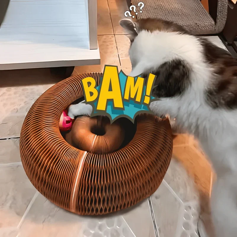 Twistou – Le jouet interactif qui attire l’attention des chats - Image 2