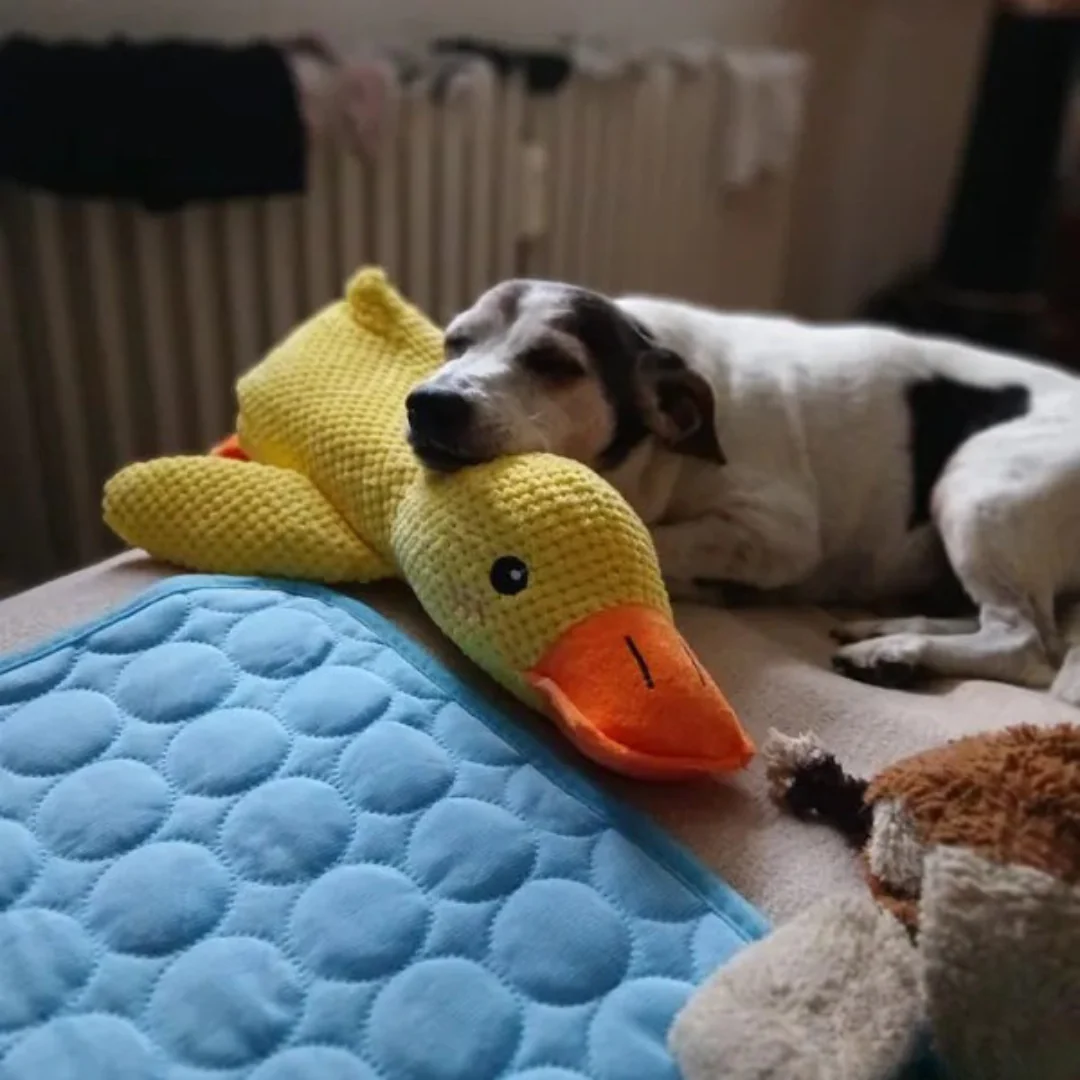 Jouet en peluche Canard pour Chien - Image 12