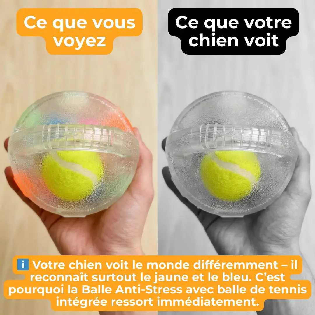 Jouet Résistant pour Chiens - Image 2