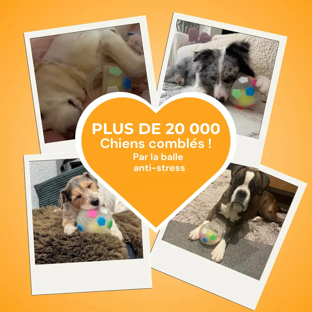 Jouet Résistant pour Chiens - Image 6