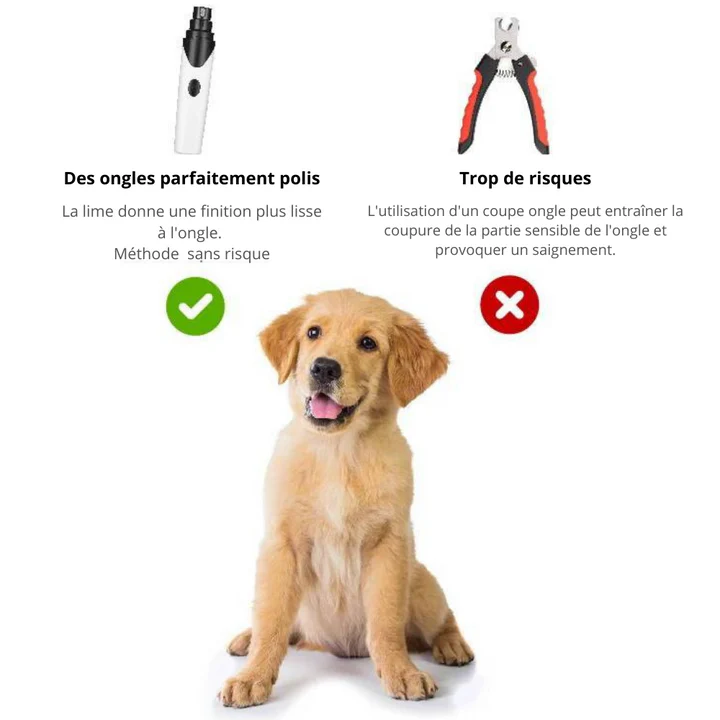 Lime à ongles électrique pour chiens - Image 4