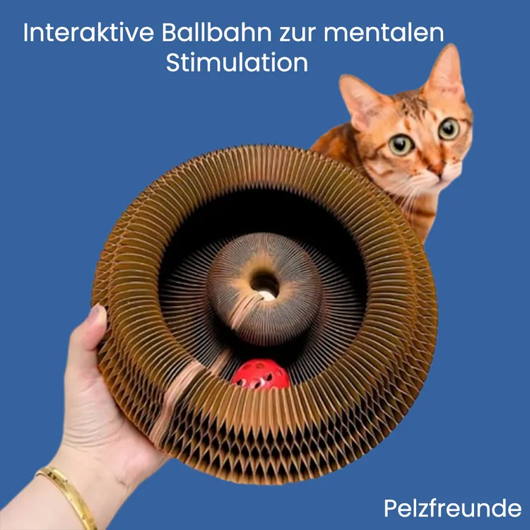 Lit griffoir pour chats - Image 3