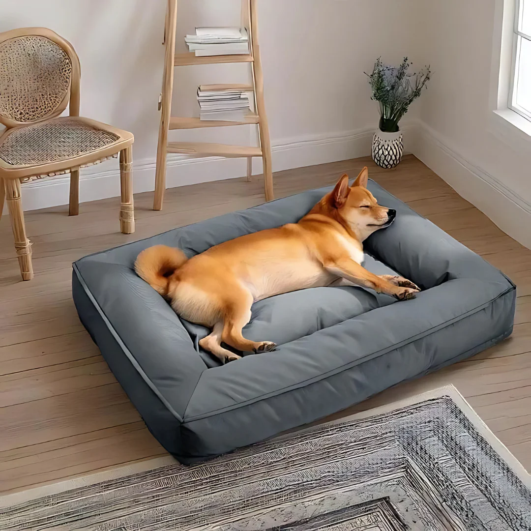 Lit orthopédique pour chien