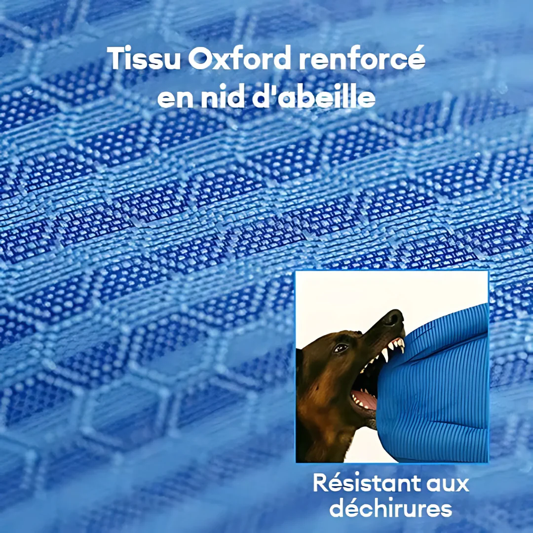 Lit orthopédique pour chien - Image 8