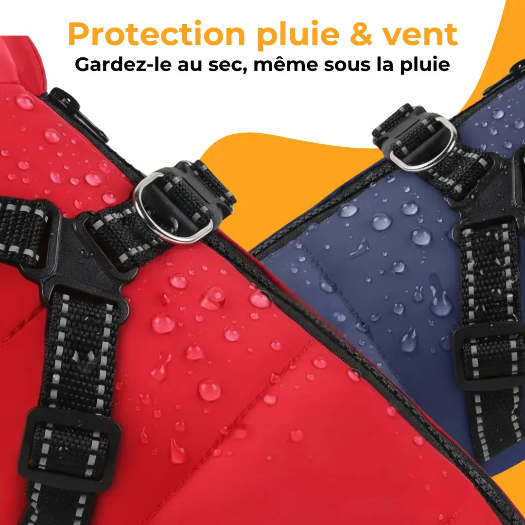Manteau imperméable pour chien avec harnais intégré - Image 10