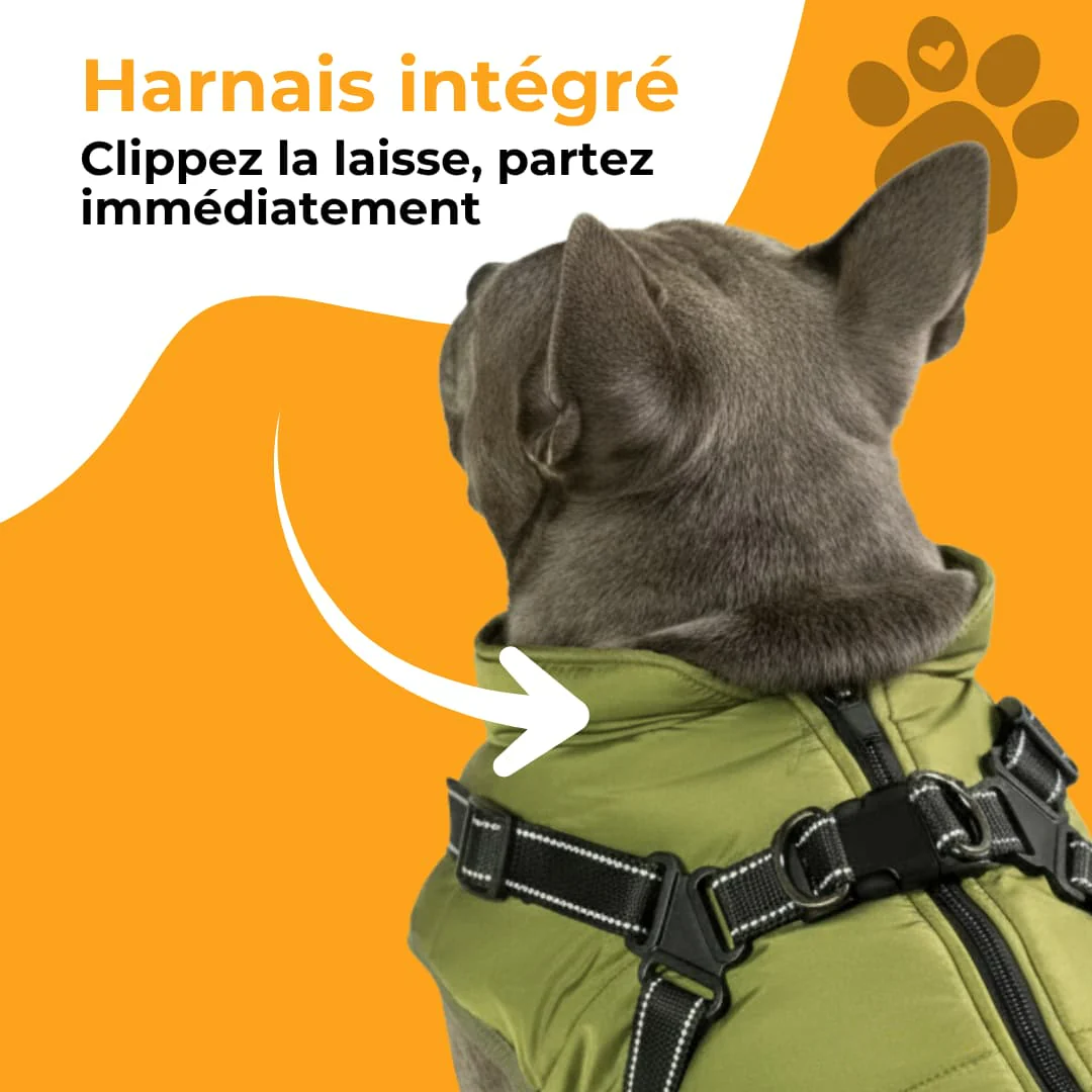 Manteau imperméable pour chien avec harnais intégré - Image 6