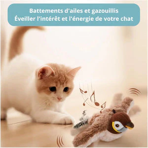 Oiseau Zen â Stimulation pour votre compagnon - Image 2