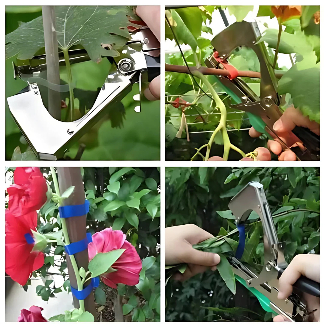 Outil Attache Plante Rapide et Précis