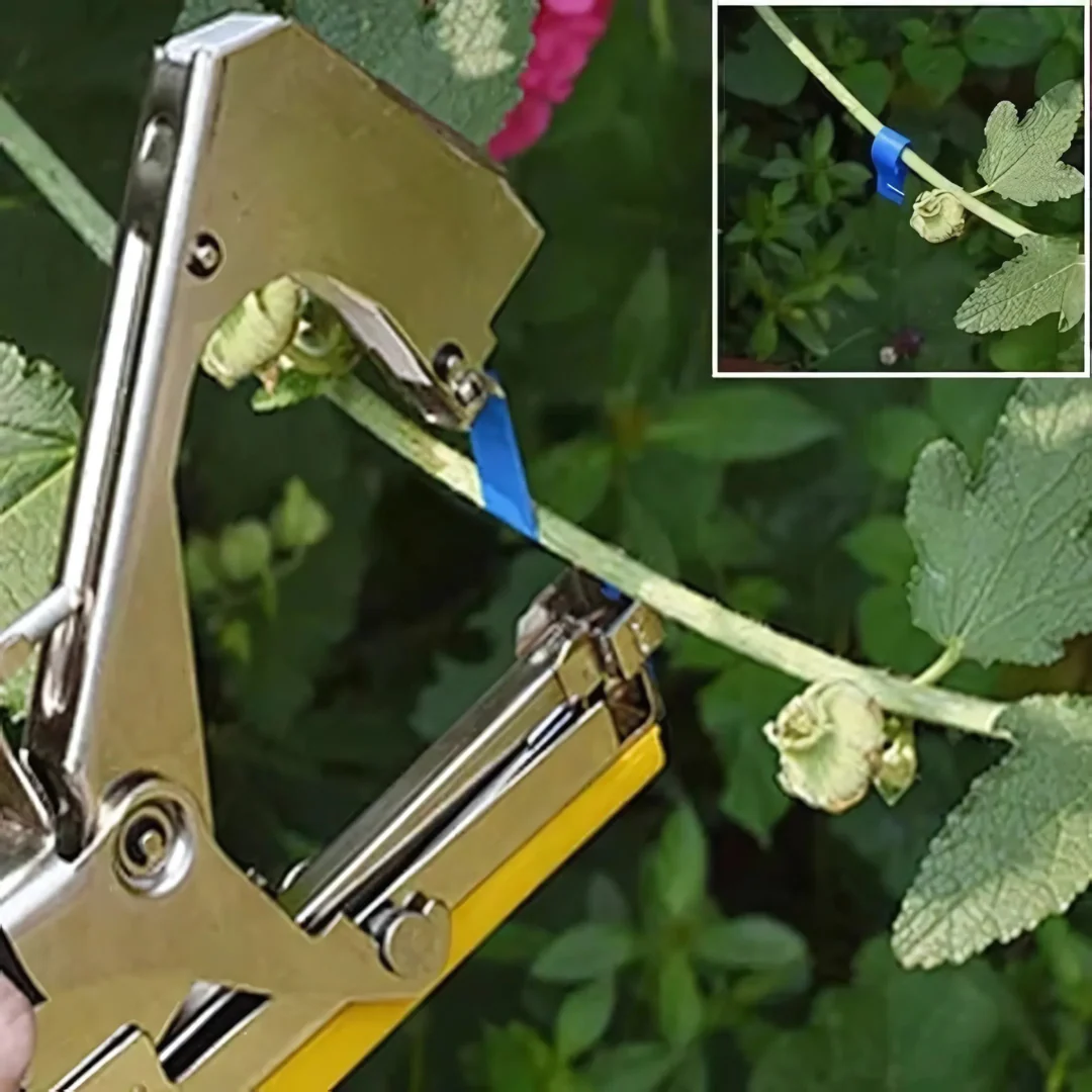 Outil Attache Plante Rapide et Précis - Image 4
