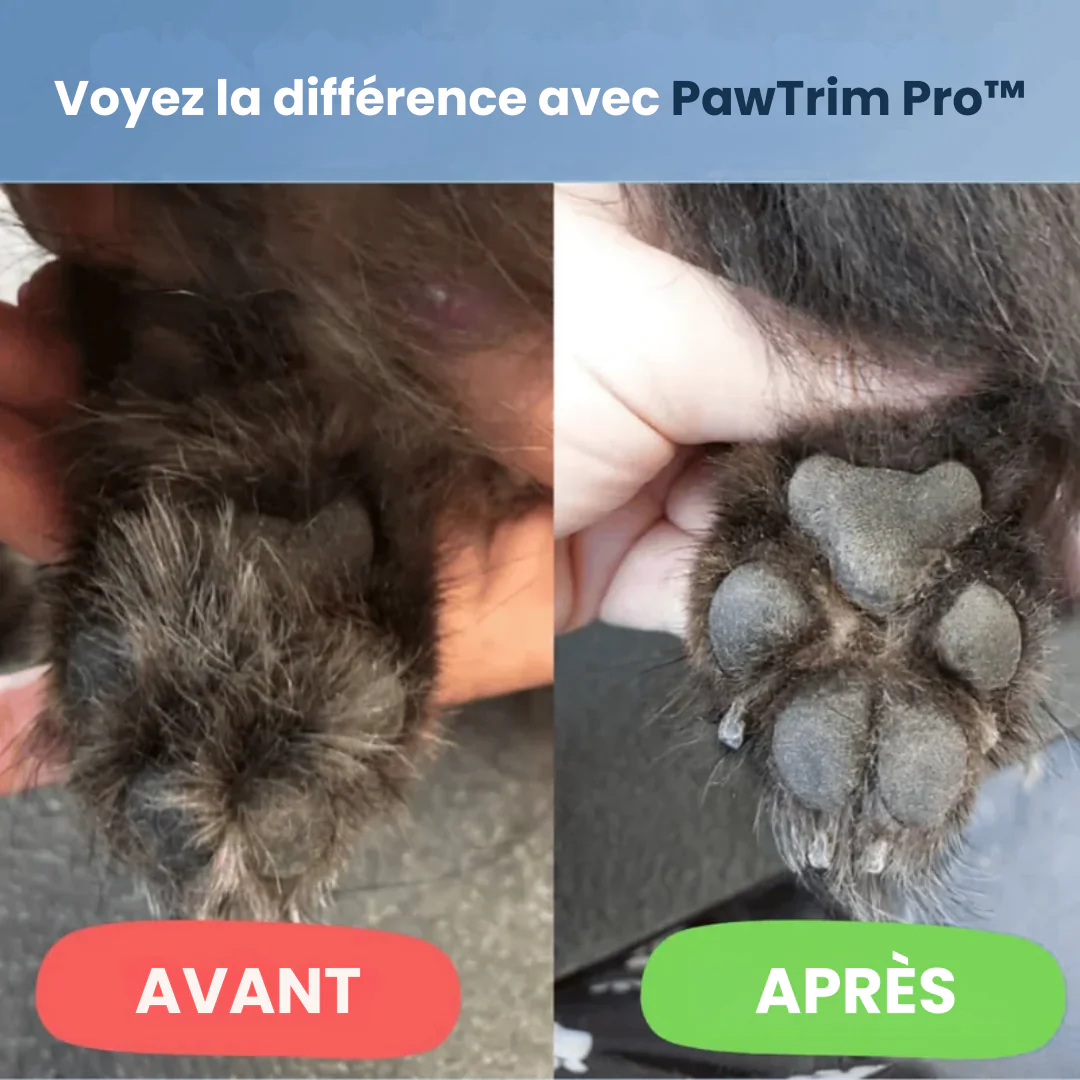 Outil électronique de soin pour pattes de chien - Image 3