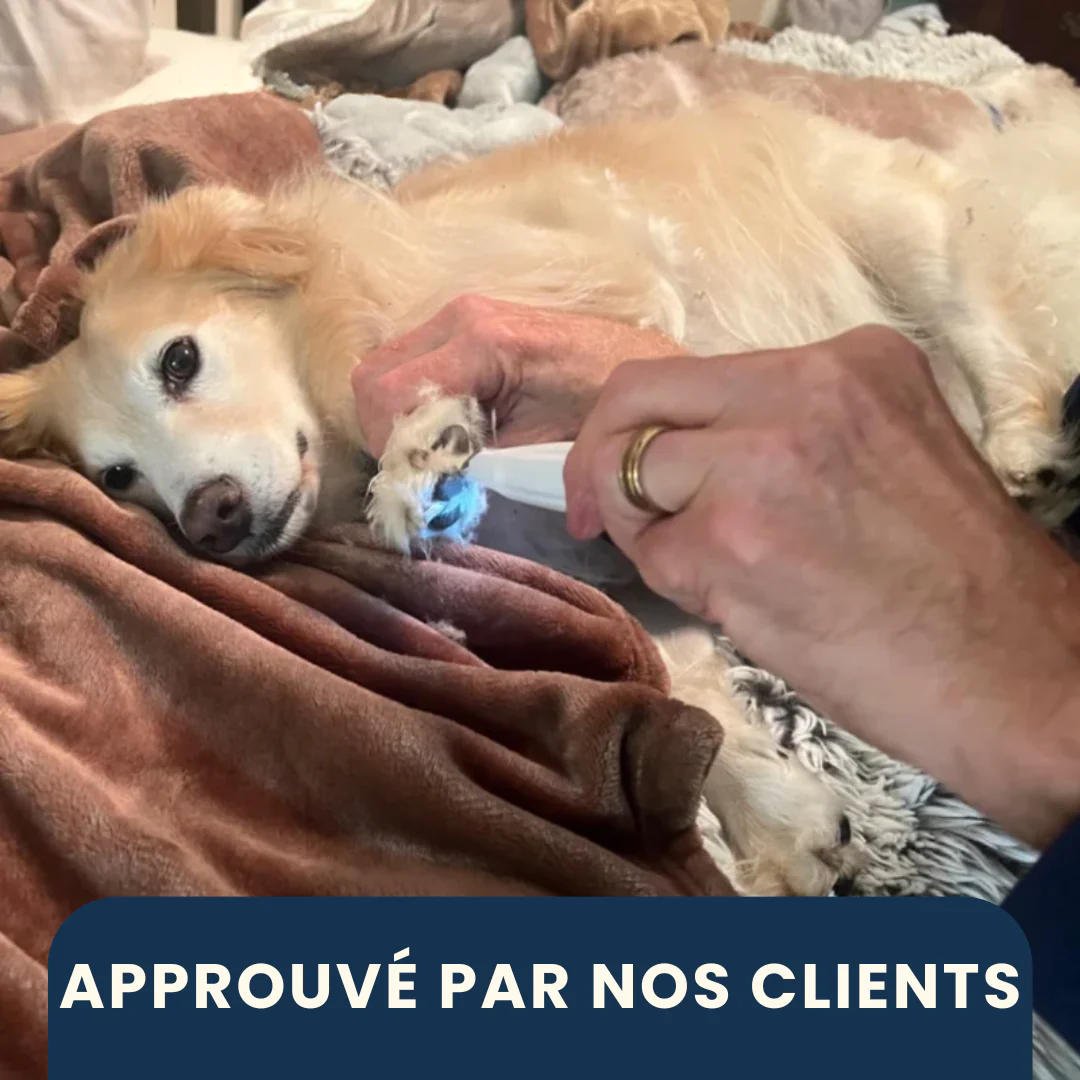 Outil électronique de soin pour pattes de chien - Image 4