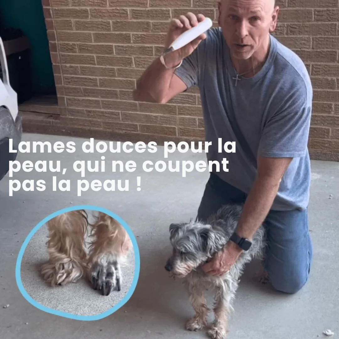 Outil électronique de soin pour pattes de chien - Image 8