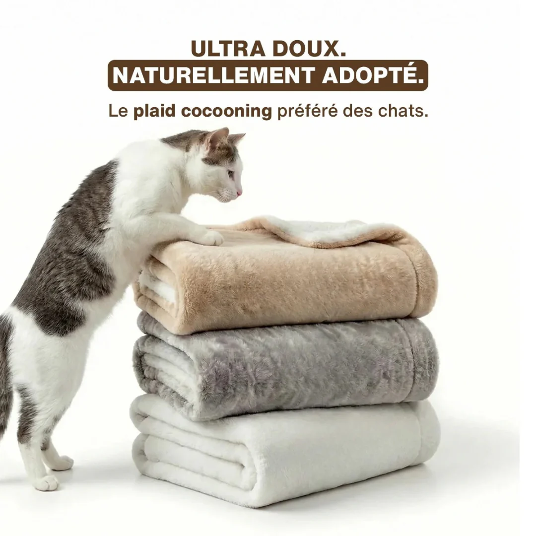 Plaid Douillet pour Chats - Image 2