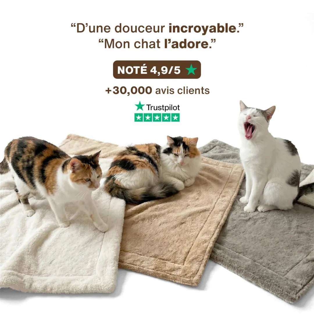 Plaid Douillet pour Chats - Image 5