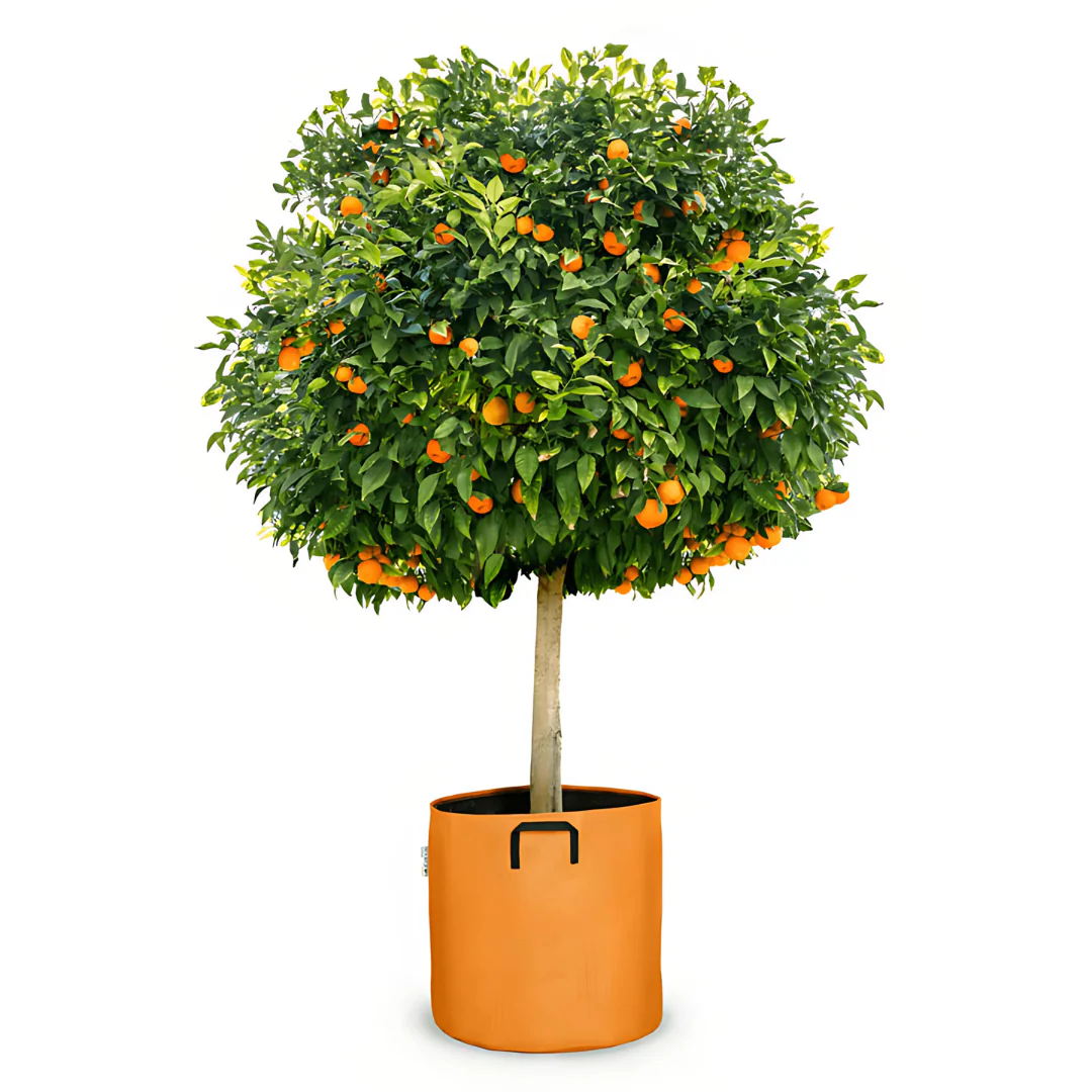 Pot auto-arrosant évolutif - Image 2