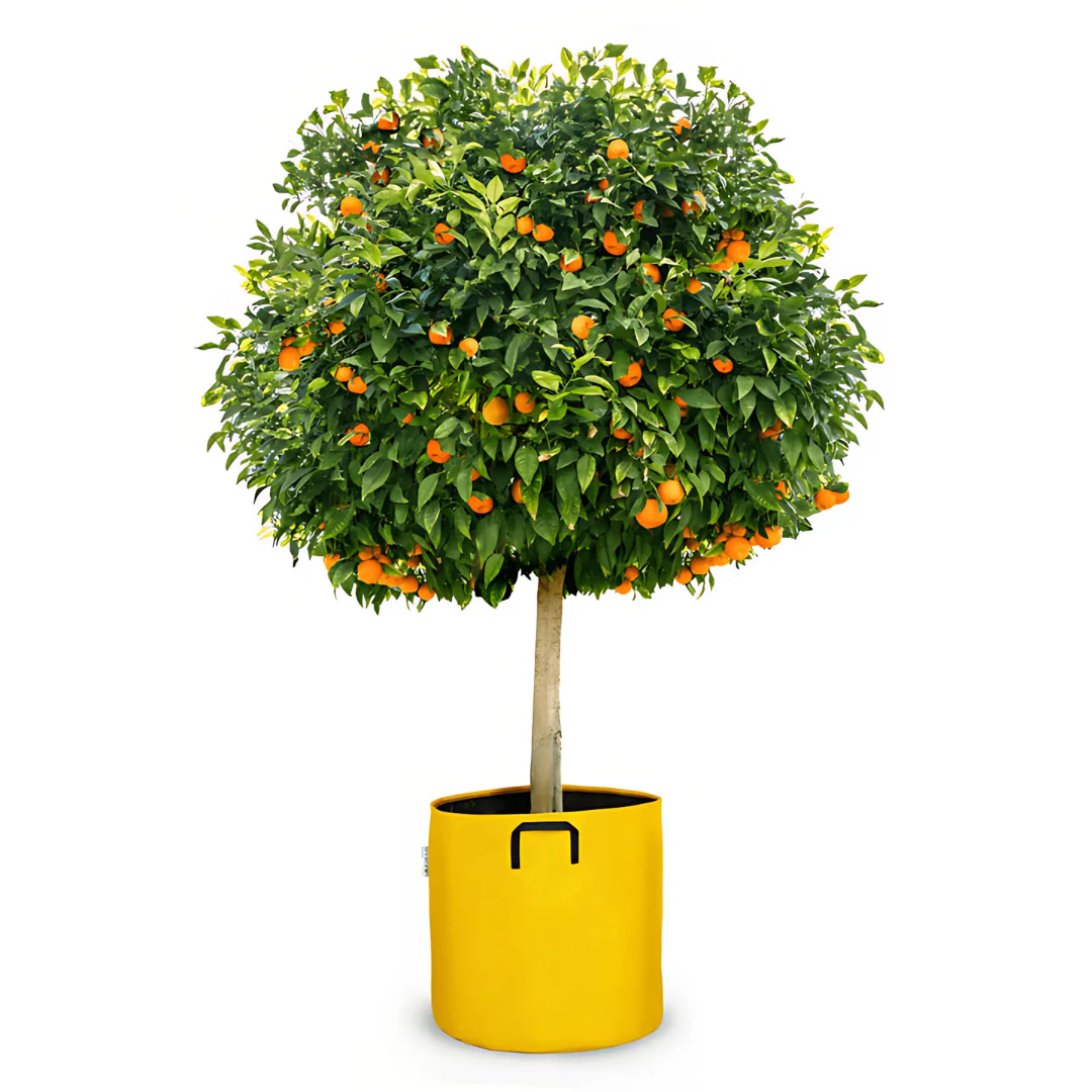 Pot auto-arrosant évolutif - Image 3