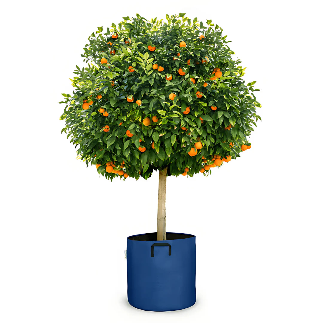 Pot auto-arrosant évolutif - Image 4