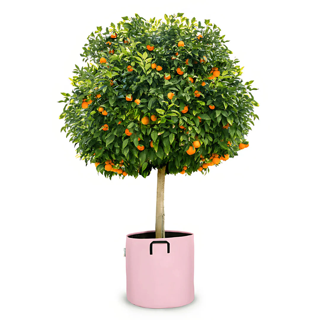 Pot auto-arrosant évolutif - Image 7