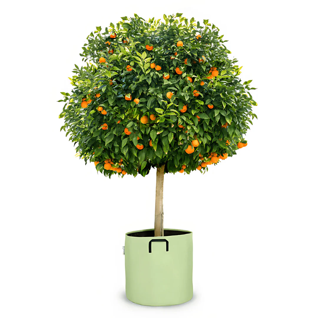 Pot auto-arrosant évolutif - Image 9